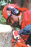 Forstarbeiter mit Helm, Visier, Gehörschutz und Handschuhen